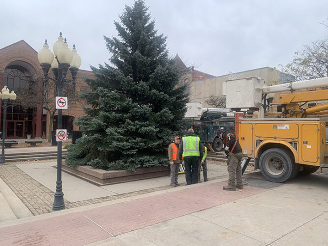 Alpena city Christmas tree installed News, Sports, Jobs The Alpena News